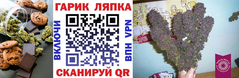 купить наркоту  Кемь  Cannafood марихуана 