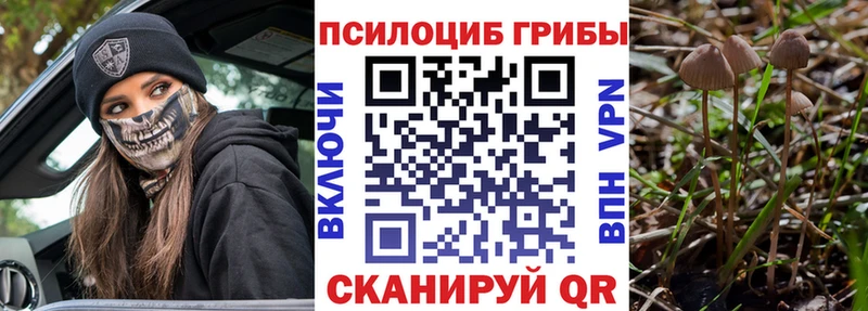 наркота  Кемь  Галлюциногенные грибы ЛСД 